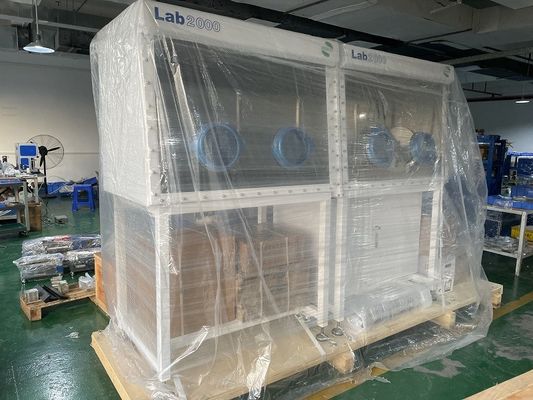 Dual Workstation Single Side Vacuum Glove Box With Gas Purification System